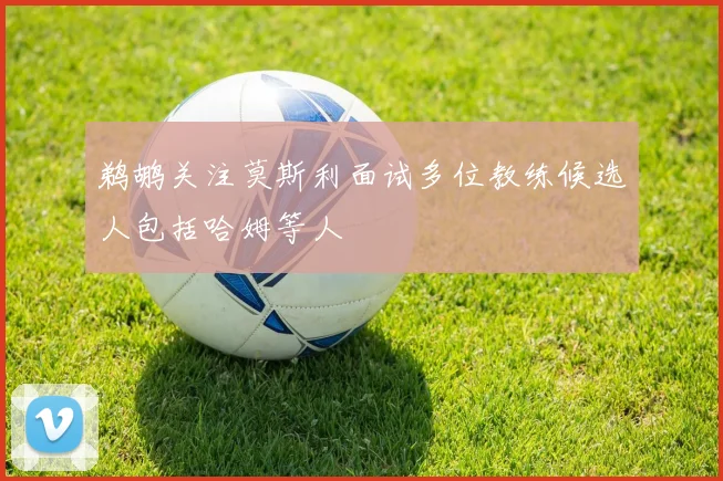 鹈鹕关注莫斯利面试多位教练候选人包括哈姆等人