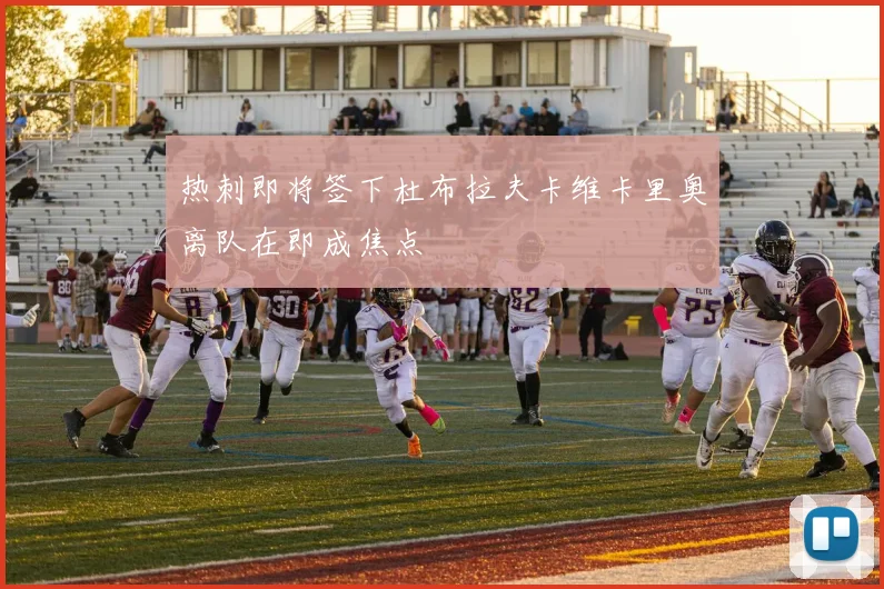 热刺即将签下杜布拉夫卡维卡里奥离队在即成焦点